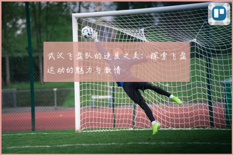 武汉飞盘队的速度之美：探索飞盘运动的魅力与激情