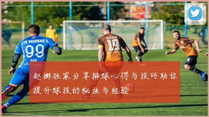 赵娜独家分享排球心得与技巧助你提升球技的秘诀与经验
