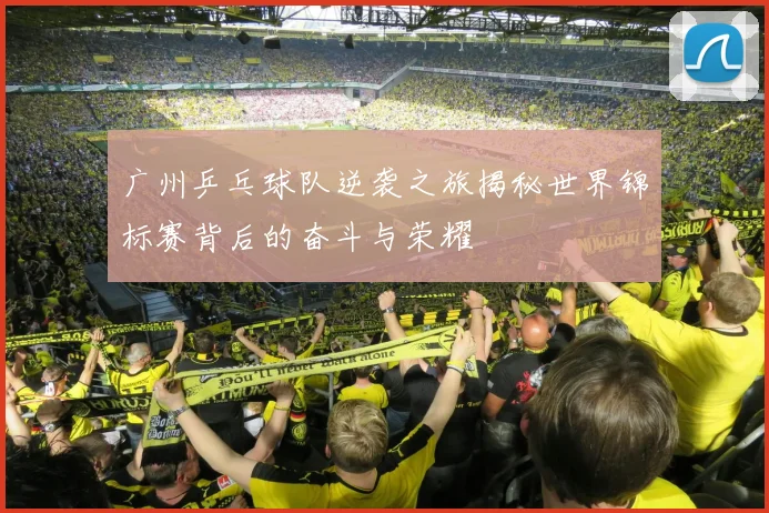 广州乒乓球队逆袭之旅揭秘世界锦标赛背后的奋斗与荣耀
